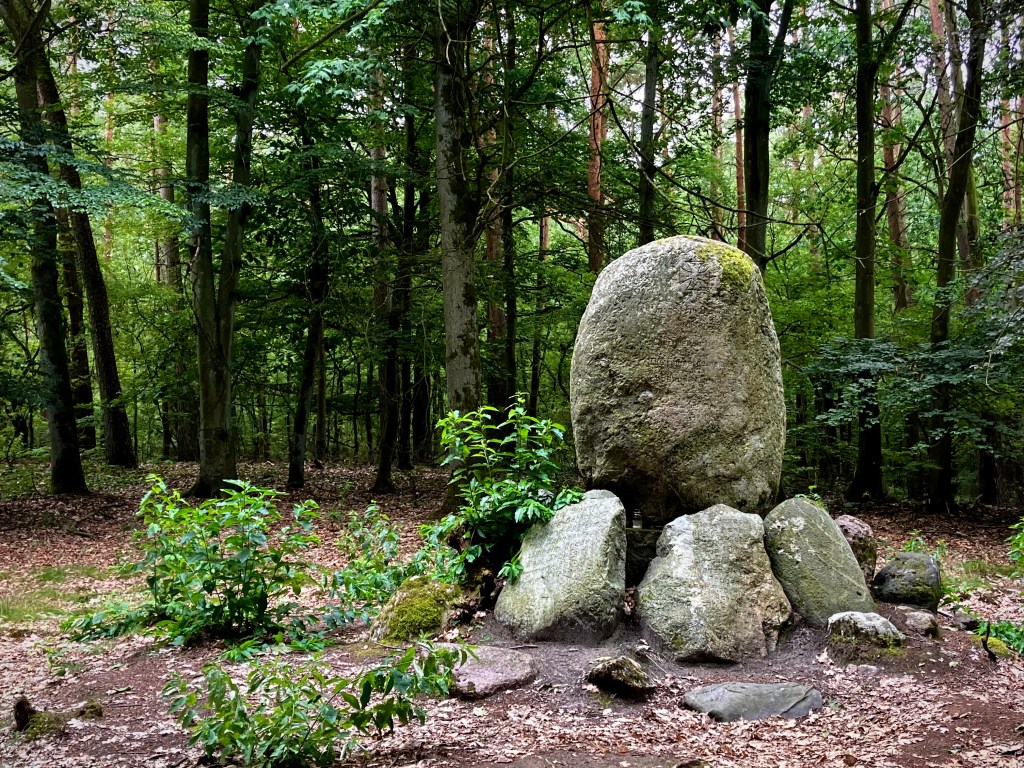 Die Geschichte der Gollnower&nbsp;Heide