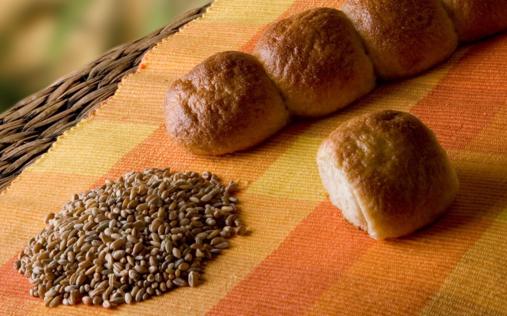 Stettiner Pameln: Ein vergessenes&nbsp;Gebäck