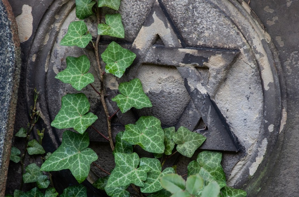 Der Film ‚Shorashim‘ und die Geschichte der Juden in&nbsp;Stettin