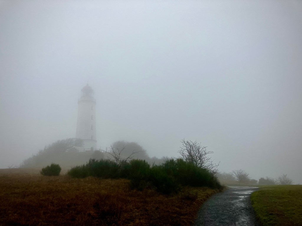 Wanderung auf Hiddensee: Vom Gellen bis zum&nbsp;Dornbusch